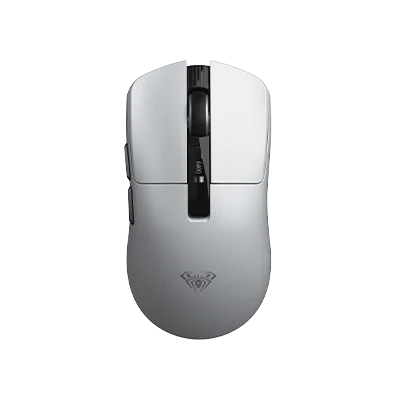 SC590